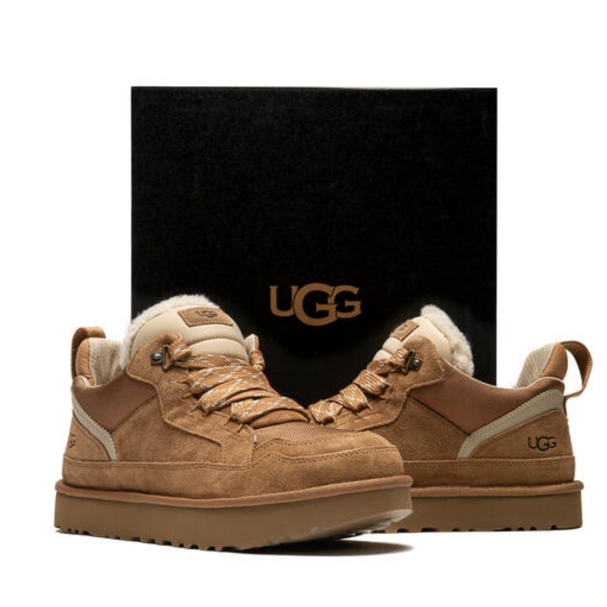 Vue arrière de la UGG Lowmel Chestnut marron